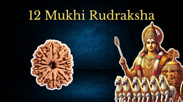 12 Mukhi Rudraksha: The Ultimate Guide to Its Power, Benefits, and Spiritual Significance