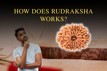 How does Rudraksha works ?