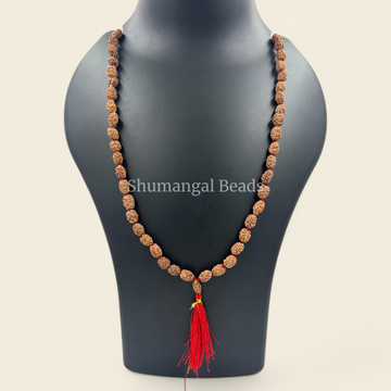 3 Mukhi Rudraksha Mala