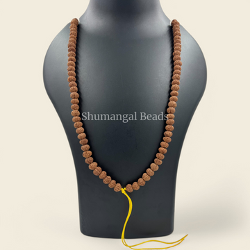 11 MUKHI RUDRAKSHA MALA