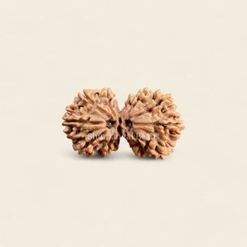 Gauri Shankar Rudraksha Nepali (Collector)