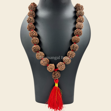 7 mukhi nepali rudraksha mala