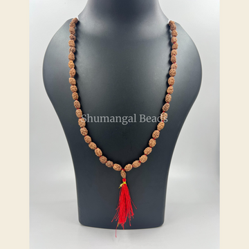 2 Mukhi Rudraksha Mala
