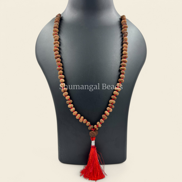 14 MUKHI RUDRAKSHA MALA