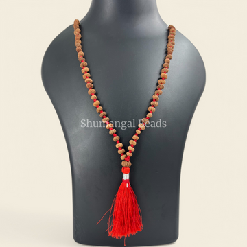 13 MUKHI RUDRAKSHA MALA