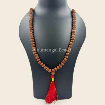 6 MUKHI RUDRAKSHA MALA
