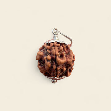 1 MUKHI NEPALI RUDRAKSHA (UNDERDEVELOPED)