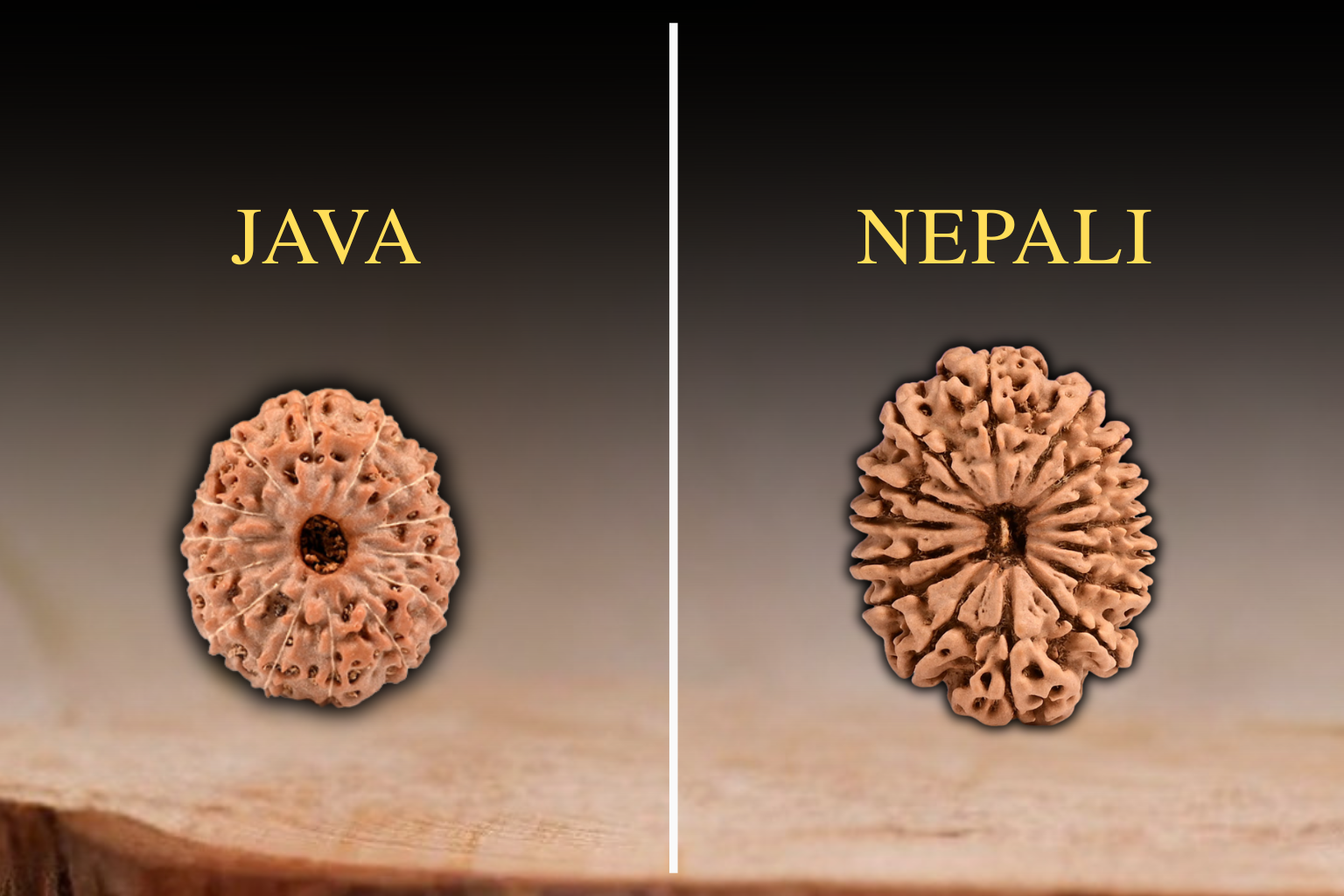 Difference between Nepali and Indonesian Origin Rudraksha ?