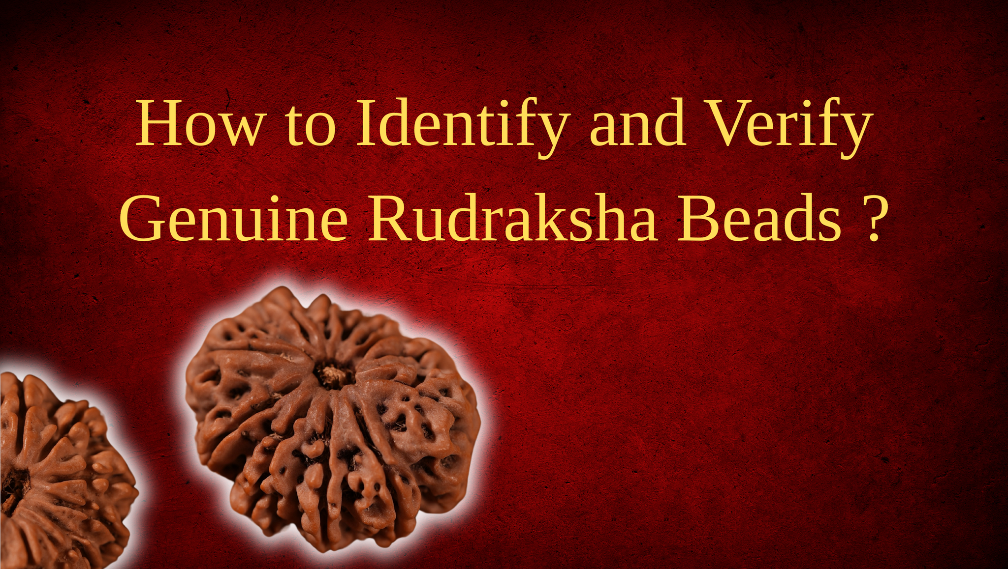 Authentic Rudraksha 