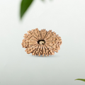 19 Mukhi Rudraksha Nepali (Collector 29MM)